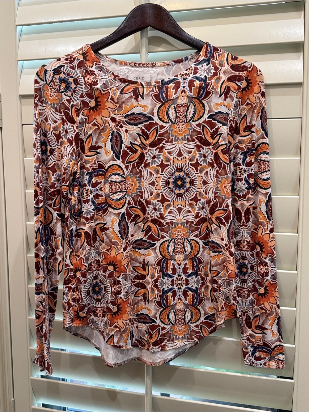 Cupio Long Sleeve Floral Crewneck Top in Rust, Navy & Cream
